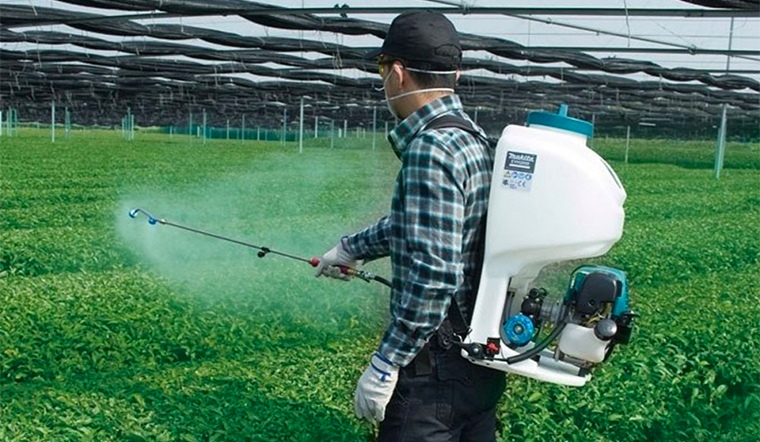 Các trường hợp mất vệ sinh an toàn thực phẩm